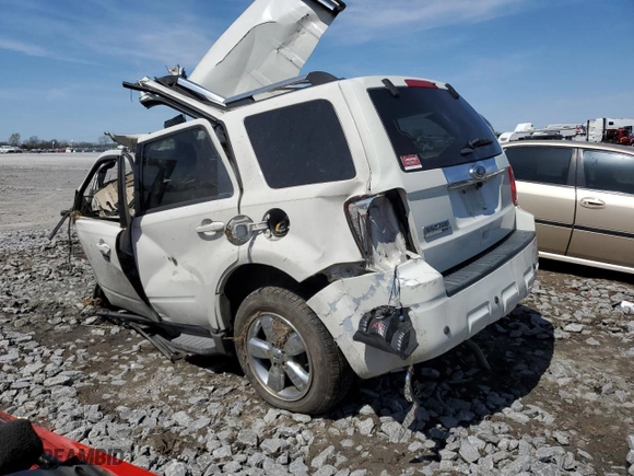2010 Ford Escape Limited with VIN 1FMCU9EG7AKA54098, listed as a Copart auction lot 51514855 with 0 mi miles and Non Repairable. Bid and sale history available at carsss.com. Image 2.