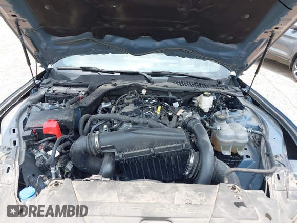 2024 Ford Mustang EcoBoost z VIN 1FA6P8TH1R5108414, wystawiony jako IAAI lot #42216812 z przebiegiem Nie podano mil oraz . Historia ofert i sprzedaży dostępna na DreamBid. Obrazek 10.