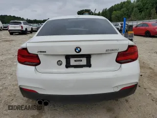 2018 BMW 2 Series 230i xDrive with VIN WBA2J3C54JVA49821, listed as a Copart auction lot 61046555 with 51,167 mi miles and Salvage title. Bid and sale history available at DreamBid. Image 6.