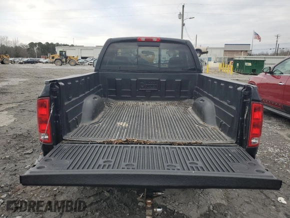2002 Dodge 1500 with VIN 1D7HA16N02J236188, listed as a Copart auction lot 46077995 with 156,493 mi miles and Salvage title. Bid and sale history available at DreamBid. Image 10.
