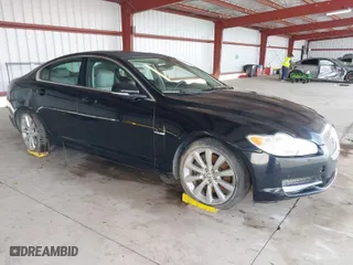 2011 Jaguar XF Premium with VIN SAJWA0GB8BLR82569, listed as a IAAI auction lot 42024636 with 1 mi miles. Bid and sale history available at carsss.com. Image 1.