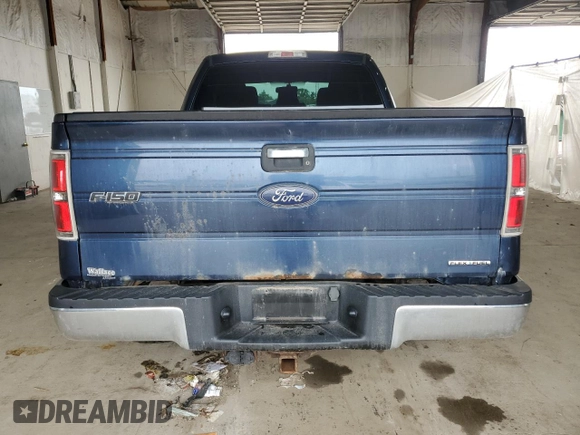 2013 Ford F-150 XL with VIN 1FTFX1EF0DFD99679, listed as a Copart auction lot 57461065 with 216,138 mi miles and Salvage title. Bid and sale history available at DreamBid. Image 6.