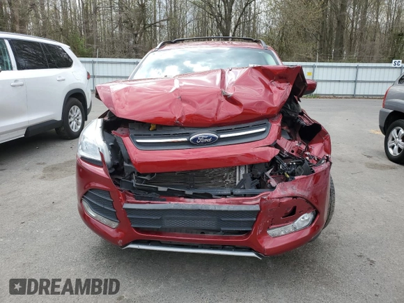 2013 Ford Escape SE with VIN 1FMCU0GX2DUB89300, listed as a Copart auction lot 52891085 with 0 mi miles and Salvage Title. Bid and sale history available at carsss.com. Image 5.