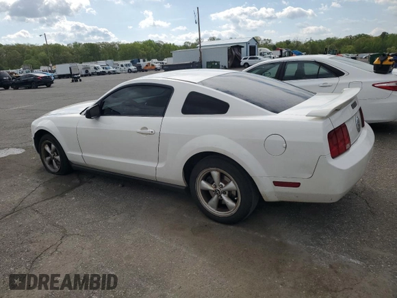 2006 Ford Mustang Standard with VIN 1ZVHT80N965264587, listed as a Copart auction lot 55333555 with 240,343 mi miles and Clean Title. Bid and sale history available at carsss.com. Image 2.