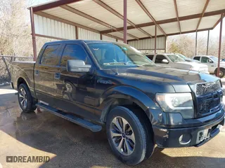 2013 Ford F-150 XL with VIN 1FTEW1CM8DKD11095, listed as a IAAI auction lot 41658268 with 215,583 mi miles. Bid and sale history available at carsss.com. Image 13.