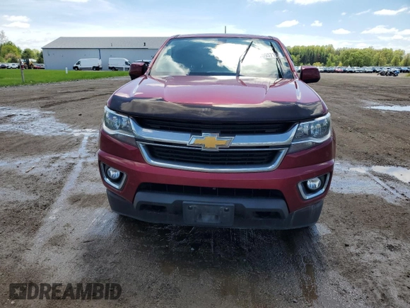 2019 Chevrolet Colorado 4WD LT with VIN 1GCGTCEN9K1316389, listed as a Copart auction lot 56095715 with 96,237 mi miles and Salvage title. Bid and sale history available at DreamBid. Image 5.