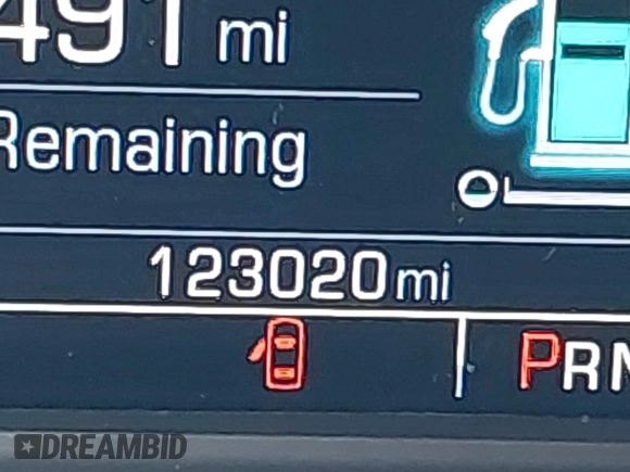 2018 Chevrolet Suburban LT z VIN 1GNSCHKCXJR128787, wystawiony jako IAAI lot #41909965 z przebiegiem 123 020 mil mil oraz . Historia ofert i sprzedaży dostępna na DreamBid. Obrazek 15.