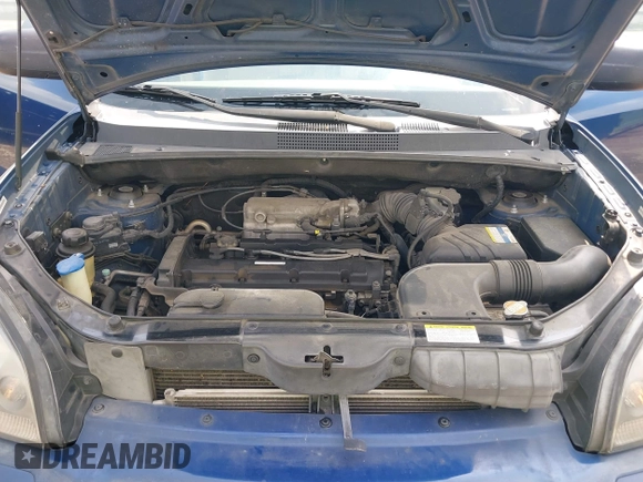 2006 Hyundai Tucson GL with VIN KM8JM12B66U342224, listed as a IAAI auction lot 42079428 with 196,248 mi miles. Bid and sale history available at carsss.com. Image 10.