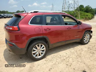 2014 Jeep Cherokee Limited with VIN 1C4PJLDS9EW221691, listed as a Copart auction lot 64095655 with 174,391 mi miles and Salvage title. Bid and sale history available at DreamBid. Image 3.