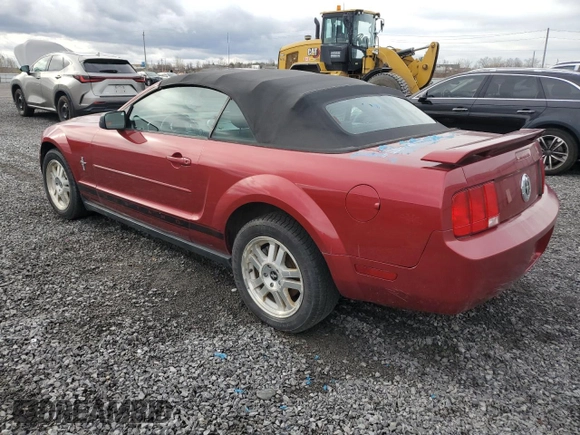 2006 Ford Mustang Standard with VIN 1ZVFT84N365233868, listed as a Copart auction lot 79687174 with 210,062 mi miles and Clean Title. Bid and sale history available at carsss.com. Image 2.