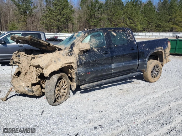 2020 GMC Sierra 1500 AT4 with VIN 1GTP9EEL9LZ359724, listed as a Copart auction lot 50170725 with 0 mi miles and Salvage Title. Bid and sale history available at carsss.com. Image 1.