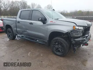 2019 Chevrolet Silverado 1500 LT Trail Boss with VIN 3GCPYFED8KG144612, listed as a IAAI auction lot 41893889 with 73,313 mi miles. Bid and sale history available at carsss.com. Image 1.