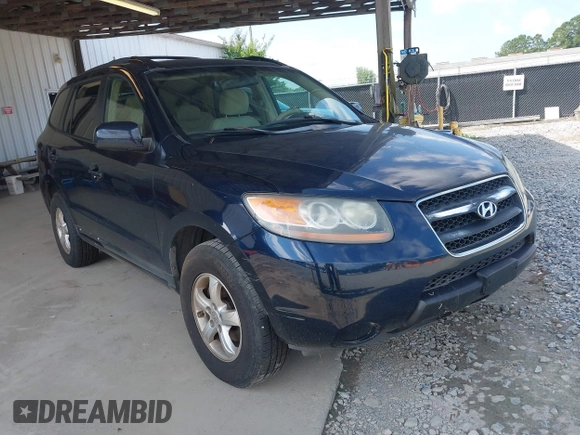 2007 Hyundai Santa Fe GLS with VIN 5NMSG13D97H084032, listed as a IAAI auction lot 42717196 with 281,287 mi miles and . Bid and sale history available at DreamBid. Image 1.
