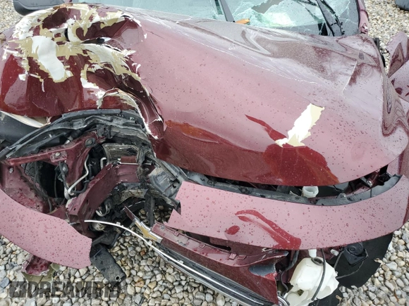 2016 Chevrolet Malibu LS with VIN 1G1ZB5ST8GF189549, listed as a Copart auction lot 43314015 with Not Provided miles and Salvage Title. Bid and sale history available at carsss.com. Image 13.