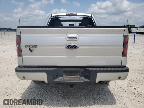 2013 Ford F-150 XL with VIN 1FTFW1ET7DFA15681, listed as a Copart auction lot 54822095 with 176,597 mi miles and Salvage title. Bid and sale history available at DreamBid. Image 6.