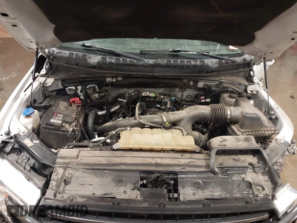 2020 Ford F-150 XL with VIN 1FTEW1EP7LFB52391, listed as a IAAI auction lot 41374589 with 75,700 mi miles and . Bid and sale history available at DreamBid. Image 10.