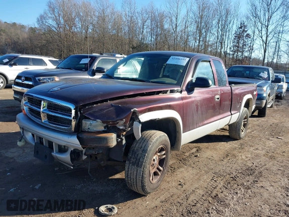 2004 Dodge Dakota SLT with VIN 1D7HG42N34S571352, listed as a IAAI auction lot 41406195 with 206,694 mi miles. Bid and sale history available at carsss.com. Image 2.