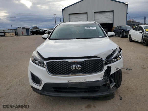 2017 Kia Sorento LX V6 with VIN 5XYPG4A57HG194298, listed as a Copart auction lot 48963215 with 117,738 mi miles and Salvage Title. Bid and sale history available at carsss.com. Image 5.