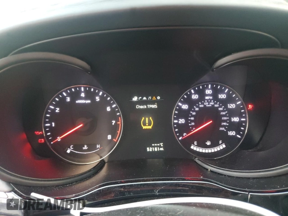 2015 Kia K900 Luxury with VIN KNALW4D43F6022254, listed as a Copart auction lot 73966104 with 52,161 mi miles and Salvage Title. Bid and sale history available at carsss.com. Image 9.