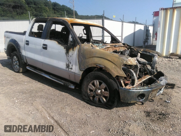 2012 Ford F-150 XL with VIN 1FTFW1ET9CKE30989, listed as a IAAI auction lot 37301262 with 257,439 mi miles and . Bid and sale history available at DreamBid. Image 1.