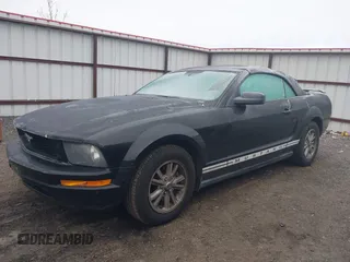 2006 Ford Mustang Standard with VIN 1ZVFT84N065190560, listed as a IAAI auction lot 41350179 with Not Provided miles and . Bid and sale history available at carsss.com. Image 2.