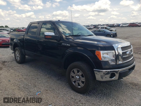 2009 Ford F-150 XL with VIN 1FTPW14V09FB25728, listed as a Copart auction lot 61993255 with 342,183 mi miles and Salvage title. Bid and sale history available at DreamBid. Image 4.
