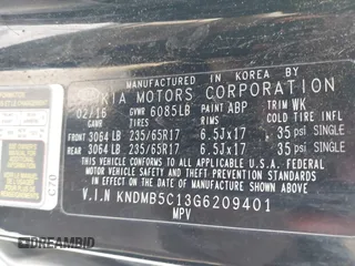 2016 Kia Sedona LX with VIN KNDMB5C13G6209401, listed as a IAAI auction lot 42091953 with 171,068 mi miles. Bid and sale history available at carsss.com. Image 9.