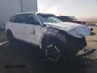 2023 Kia Telluride S with VIN 5XYP6DGCXPG341107, listed as a Copart auction lot 46181485 with Not Provided miles and Non Repairable. Bid and sale history available at DreamBid. Image 4.
