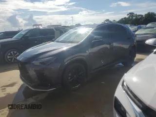 2023 Lexus NX with VIN JTJKKCFZ3P2017316, listed as a Copart auction lot 73752814 with 13,125 mi miles and Salvage Title. Bid and sale history available at carsss.com. Image 1.