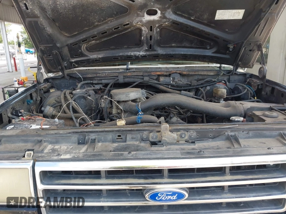 1990 Ford F-150 with VIN 1FTDF15N1LNA45594, listed as a IAAI auction lot 42786932 with 1,439 mi miles and . Bid and sale history available at DreamBid. Image 10.