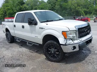 2013 Ford F-150 with VIN 1FTVW1ET2DKF24807, listed as a IAAI auction lot 42458173 with 161,364 mi miles and . Bid and sale history available at DreamBid. Image 1.