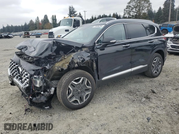 2022 Hyundai Santa Fe Hybrid SEL Premium with VIN KM8S3DA11NU029629, listed as a Copart auction lot 75606294 with 44,110 mi miles and Salvage Title. Bid and sale history available at carsss.com. Image 1.
