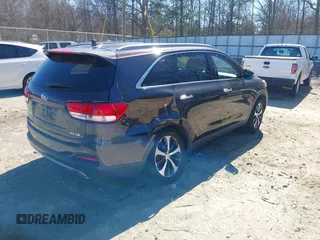 2016 Kia Sorento EX with VIN 5XYPH4A50GG043914, listed as a IAAI auction lot 41670153 with 113,121 mi miles. Bid and sale history available at carsss.com. Image 4.