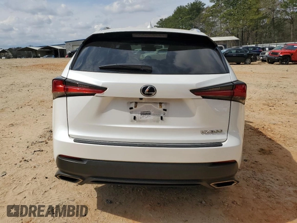 2019 Lexus NX with VIN JTJYARBZ4K2157485, listed as a Copart auction lot 49081155 with 57,361 mi miles and Salvage Title. Bid and sale history available at carsss.com. Image 6.