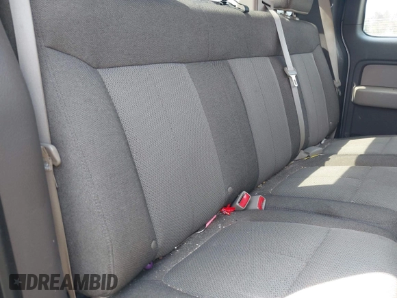 2010 Ford F-150 XL with VIN 1FTEX1EW7AFD37574, listed as a IAAI auction lot 42088625 with 134,668 mi miles and . Bid and sale history available at DreamBid. Image 8.