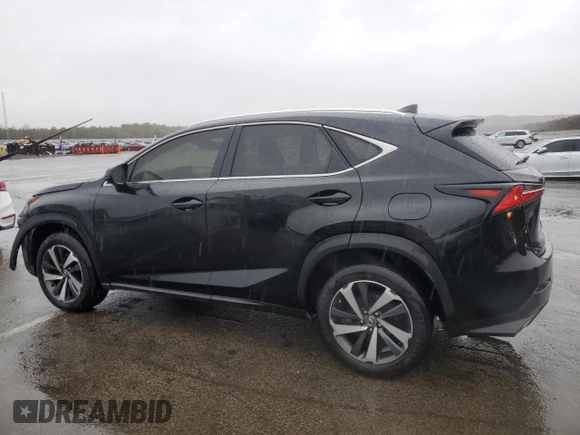 2019 Lexus NX with VIN JTJBARBZ9K2189502, listed as a Copart auction lot 50029065 with 135,449 mi miles and Salvage Title. Bid and sale history available at carsss.com. Image 2.