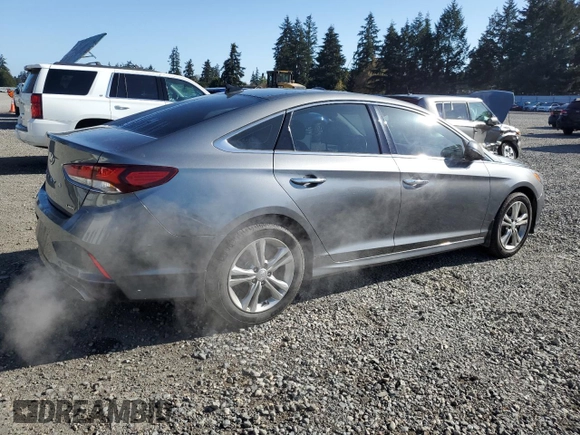 2019 Hyundai Sonata SEL with VIN 5NPE34AF5KH808518, listed as a Copart auction lot 53586045 with 91,307 mi miles and Salvage Title. Bid and sale history available at DreamBid. Image 3.