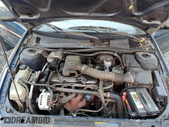2002 Chevrolet Cavalier with VIN 1G1JC524627165174, listed as a Copart auction lot 74334274 with 0 mi miles and Salvage Title. Bid and sale history available at carsss.com. Image 12.