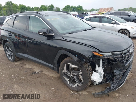 2023 Hyundai Tucson Limited with VIN 5NMJECAE8PH185460, listed as a IAAI auction lot 42383919 with 35,804 mi miles and . Bid and sale history available at DreamBid. Image 1.