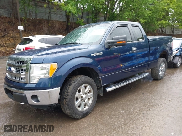 2013 Ford F-150 XL with VIN 1FTFX1EFXDFB89719, listed as a IAAI auction lot 42310707 with 142,977 mi miles and . Bid and sale history available at DreamBid. Image 2.