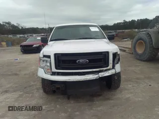 2014 Ford F-150 XL with VIN 1FTFX1EFXEKE16495, listed as a IAAI auction lot 41077199 with 206,212 mi miles. Bid and sale history available at carsss.com. Image 6.