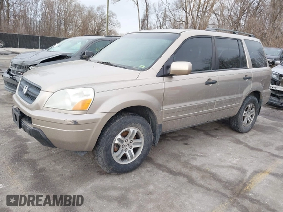 2005 Honda Pilot EX-L with VIN 5FNYF18505B040059, listed as a IAAI auction lot 41656782 with 234,723 mi miles. Bid and sale history available at carsss.com. Image 2.
