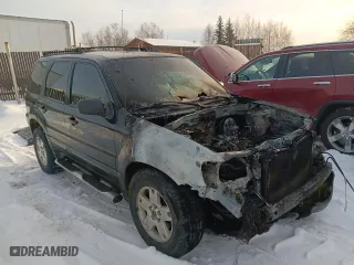2005 Ford Escape XLT with VIN 1FMYU93165KC92924, listed as a Copart auction lot 46076435 with 0 mi miles and Salvage Title. Bid and sale history available at carsss.com. Image 4.