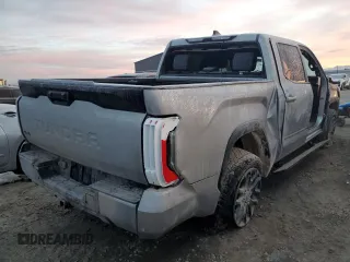 2023 Toyota Tundra Platinum with VIN 5TFNA5DB9PX128945, listed as a Copart auction lot 83960764 with Not provided miles and Salvage title. Bid and sale history available at DreamBid. Image 3.