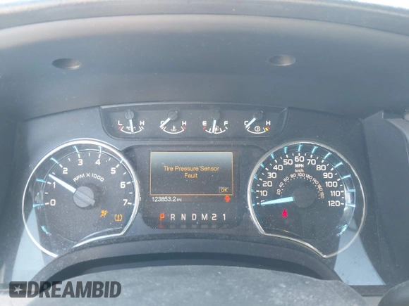 2012 Ford F-150 XL with VIN 1FTEW1CM2CFC06897, listed as a IAAI auction lot 41641309 with 123,853 mi miles. Bid and sale history available at carsss.com. Image 7.