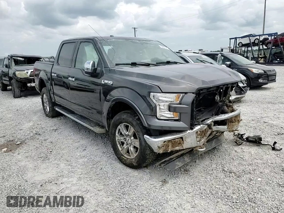 2015 Ford F-150 XLT with VIN 1FTEW1EFXFFC60791, listed as a Copart auction lot 58831015 with Not provided miles and Salvage title. Bid and sale history available at DreamBid. Image 13.
