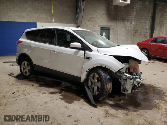 2015 Ford Escape SE with VIN 1FMCU9G93FUA48308, listed as a Copart auction lot 48293815 with 0 mi miles and Salvage Title. Bid and sale history available at carsss.com. Image 4.