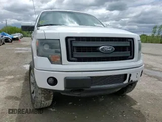 2013 Ford F-150 XL with VIN 1FTFW1ET3DFA65655, listed as a Copart auction lot 54787475 with 174,256 mi miles and Salvage title. Bid and sale history available at DreamBid. Image 13.