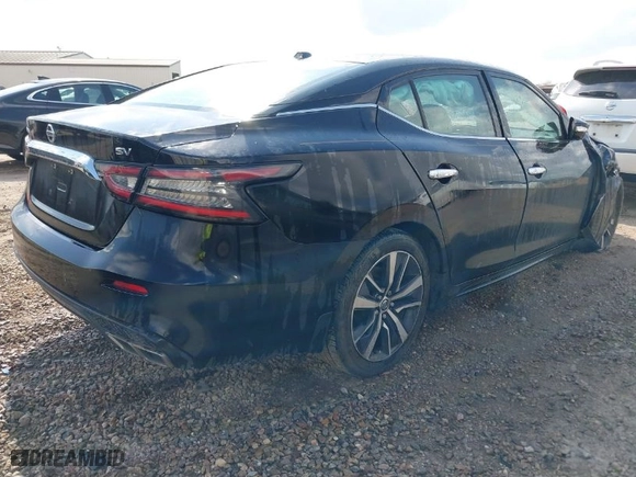 2019 Nissan Maxima SV with VIN 1N4AA6AV0KC361850, listed as a IAAI auction lot 41568639 with 106,739 mi miles. Bid and sale history available at carsss.com. Image 4.