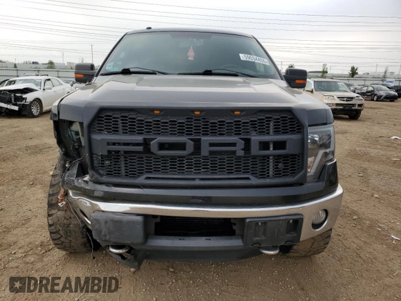 2011 Ford F-150 XLT with VIN 1FTFW1ET4BFC98666, listed as a Copart auction lot 59034455 with 175,742 mi miles and Salvage title. Bid and sale history available at DreamBid. Image 5.